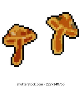 Two autumn mushrooms for cooking. Pixel art isolated on white background. vector illustration. Item for game or graphic design.