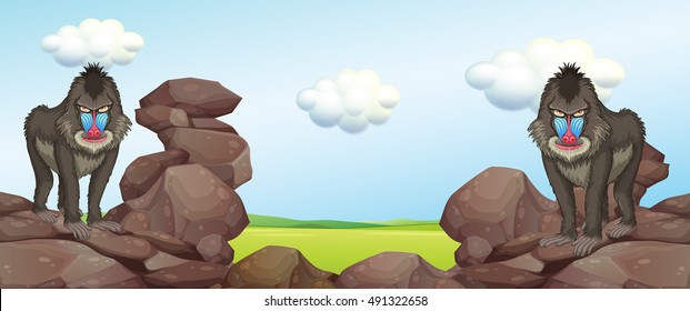 Two baboons standing on rocks illustration