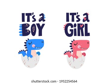 Two baby dinosaurs in cracked eggs with inscriptions “It’s a boy” and “It’s a girl”. Cute hand drawn dinos isolated on white background. Vector illustration for  stickers, greeting cards, t-shirts