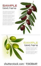 Two backgrounds with green and black olives. Vector illustration.