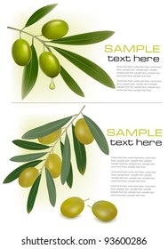 Two backgrounds with green fresh olives. Vector illustration.
