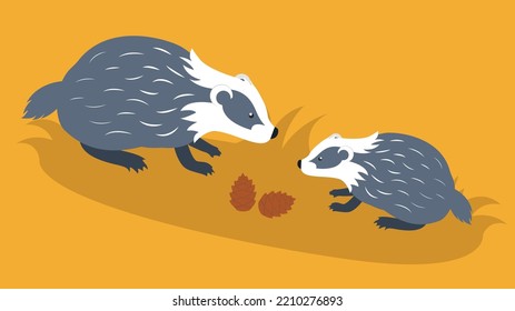 Dos badgers se sientan cerca de conos