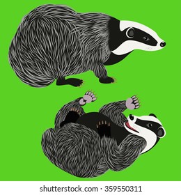 Two badgers they are sitting and lying on their backs