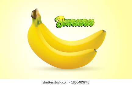 Two banana fruit isolated on bright yellow background. Realistic vector illustration.