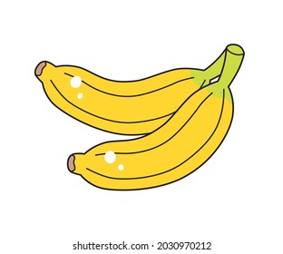 Two banana fruits isolated cartoon vector