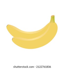 two banana isolated on white background, vector illustration