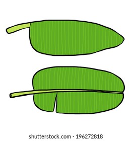 two banana leaves / cartoon vector and illustration, hand drawn style, isolated on white background.