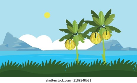 Two banana palms by the sea