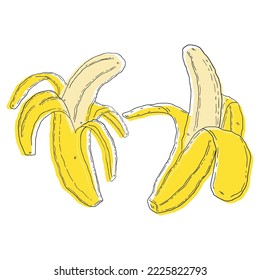 Dos Banana. Resumen conjunto moderno de íconos bananeros, enteros, Para web, impresión, diseño de productos, logotipo bananero. Doodle, línea, contorno. Ilustración plana de vectores dibujada a mano