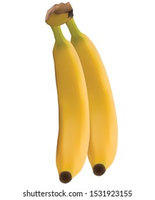 two bananas, against a white background