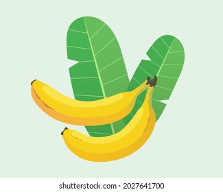 Two bananas and banana leaves. Vector flat illustration isolated on gray background.