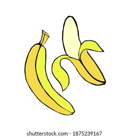 Two bananas isolated on a white background, tropical fruit, sweet ripe banana, vector illustration in doodle style, hand draw.