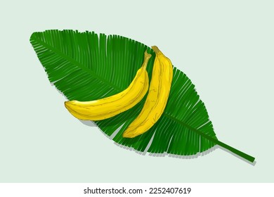 Two bananas over a green leaf, vector illustration