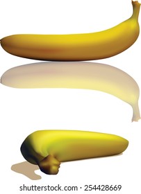 two bananas with reflection - realistic