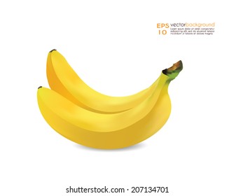 Two Bananas Vector Illustration. Whole fruit realistic image. Use for food, drink and cosmetic package labeling, decoration, illustration, decals. Eps10 file is layered, editable.