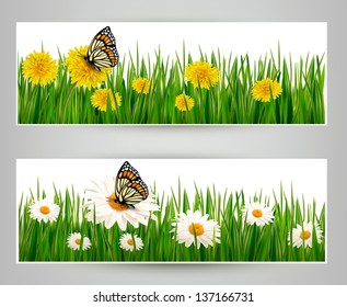 Dos pancartas con mariposas y flores. Vector.