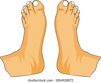 Two bare feet on a white background. Vector Illustrator.