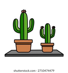 Dois barril Cacti verde juntos