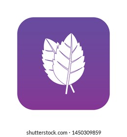 Two basil leaves icon digital purple for any design isolated on white vector illustration
