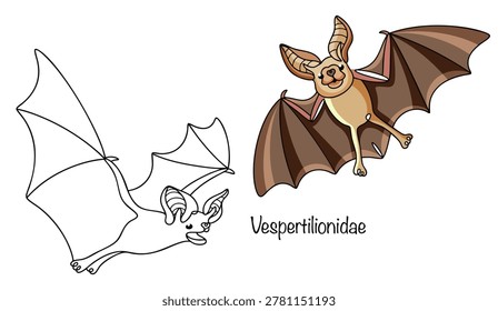 Two bats with neat, smooth faces and small dark eyes are drawn in color and simply with a black line. They have leathery wings and soft brown fur. Vector illustration on an animal theme.