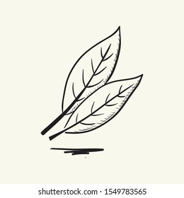 Two bay leaves. Hand drawn vector illustration.