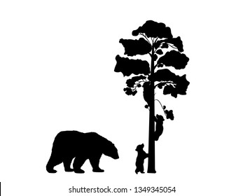 Two bear cubs climbing tree black silhouette animals