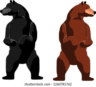 Two bears black and brown colored isolated on white vector