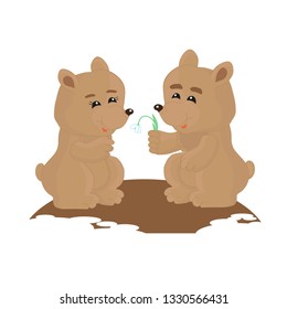 Two bears on a white background. Vector illustration.