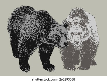 Two bears, realistic drawing, isolated on neutral background. Hand drawn vector illustration.