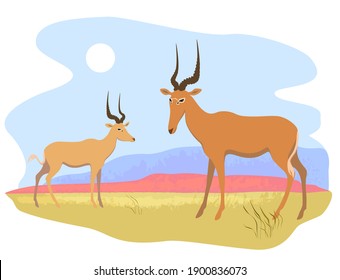 Two beautiful antelope (hirola) on a wild landscape background. Stock vector illustration
