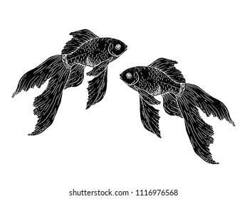 Two beautiful aquarium fish, black silhouettes of fish on a white background. Hand drawing, sketch. Vector illustration.