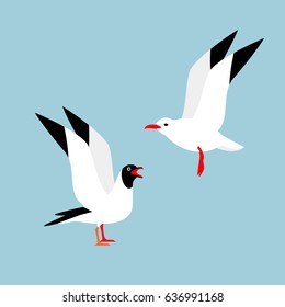 Two beautiful birds on a blue background. Flying and seated seagull.