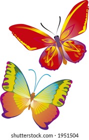 two beautiful butterflies