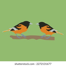 Two beautiful colored
birds vector art work