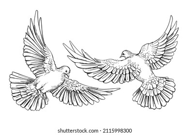 Two beautiful doves in flight. A couple of birds. Stylish image to print on any surface