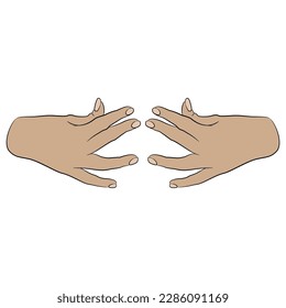 Two beautiful female hand in pinch gesture. Cartoon style.