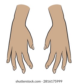 Two beautiful female hands in elegant gesture. Top view. 
