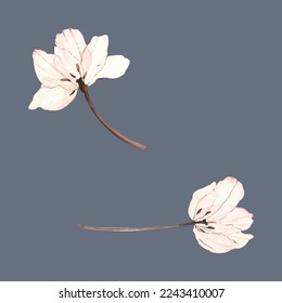 Dos bonitas flores aisladas en un fondo gris. moderno y elegante.