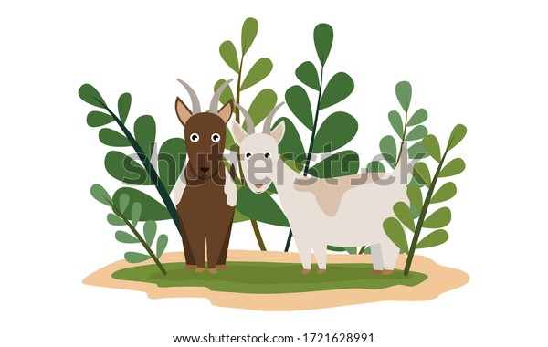 Two Beautiful Goat Long Horns Stands Stock Vector Royalty Free 1721628991 Shutterstock 