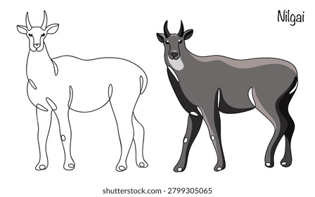 Two beautiful hand-drawn antelopes. These large animals have short horns, long legs, and high necks. Their fur is gray. Vector illustration. Nilgai.