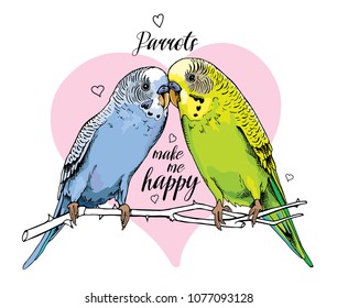 Two Beautiful little green and blue Wavy Parrots kiss on a pink background. Vector illustration.