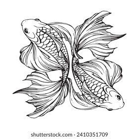 Zwei schöne magische Fische mit langen Flossen und Schwänzen Logo, mystische Tätowierung, Pisces zodiac Schild, Handgravur für Fischladen. Line-Vektorgrafik einzeln auf weißem Hintergrund.