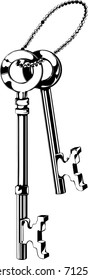 two beautiful metallic keys on a bunch, vector illustration on a white background