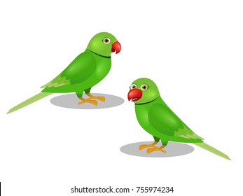 Two Beautiful Parrot - Vector Image 