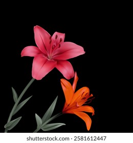 Two beautiful pink and orange lilies on a black background. Floral background. Flowers. Bouquet. Green leaves.