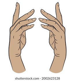 Two beautiful raised up female hands in elegant gesture. Cartoon style.
