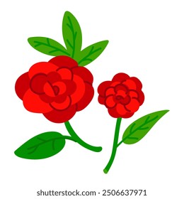 Two beautiful red Mexican zinnia flowers highlighted on a white background. Large buds and an inflorescence on a stem with green leaves. Botanical vector flat illustration in bright colors isolated