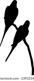 two beautiful silhouette birds vector