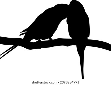 two beautiful silhouette birds vector