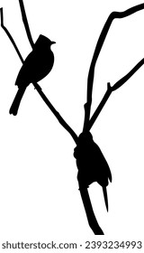 two beautiful silhouette birds vector